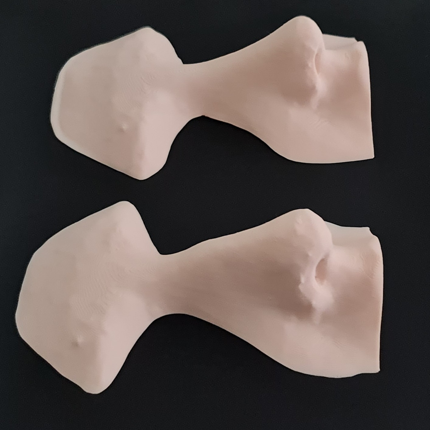 3D baskı burun modelleri
